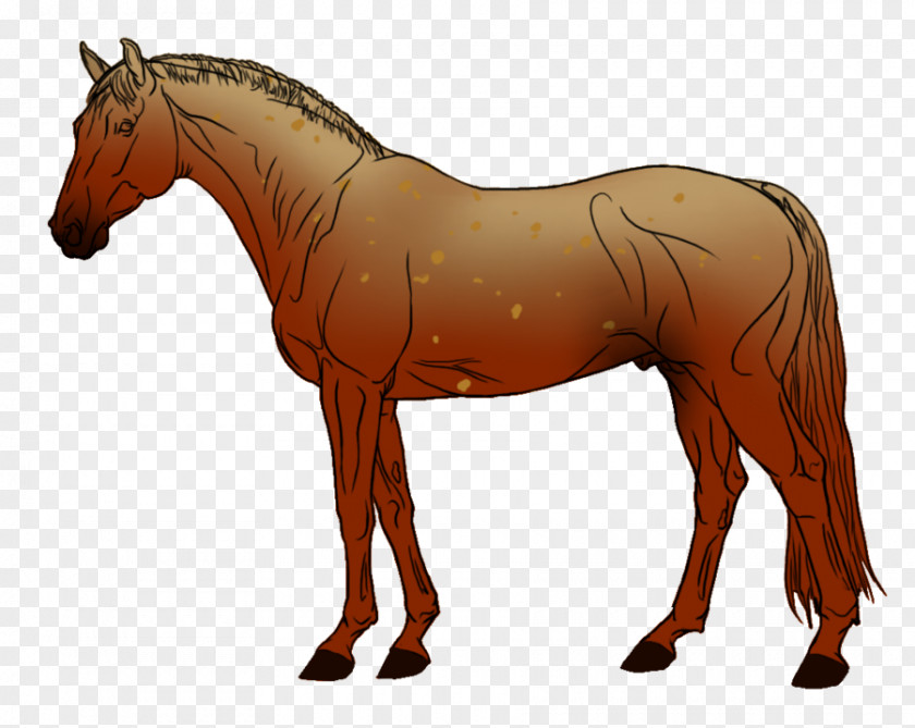 Speckled Bandera American Quarter Horse Breyer Animal Creations Ranch Appaloosa PNG