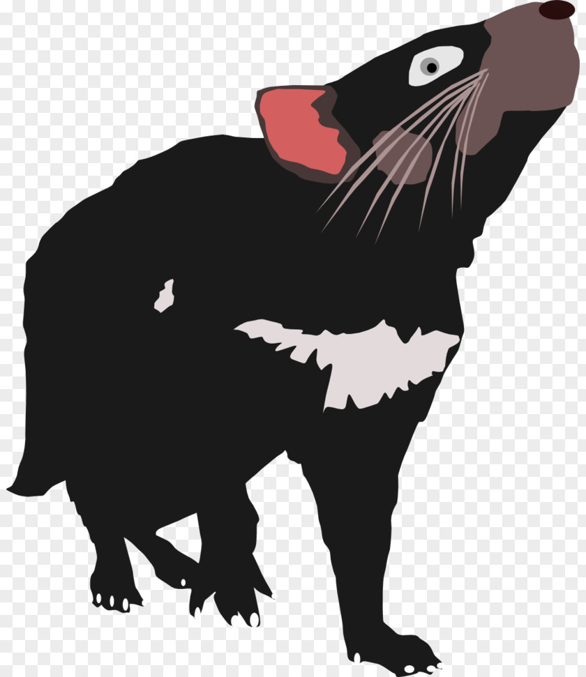 Tasmanian Devil Cat Vertebrate Taz: Wanted PNG
