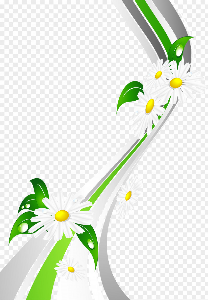 Chamomile Paper 20.03.2017. Common Daisy Clip Art PNG