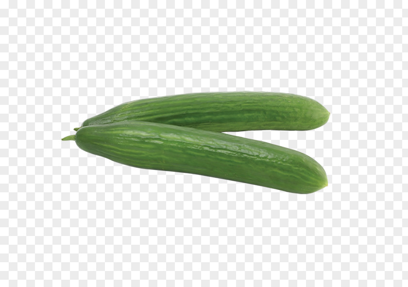 Cucumber Pickled Vegetable Computer File PNG