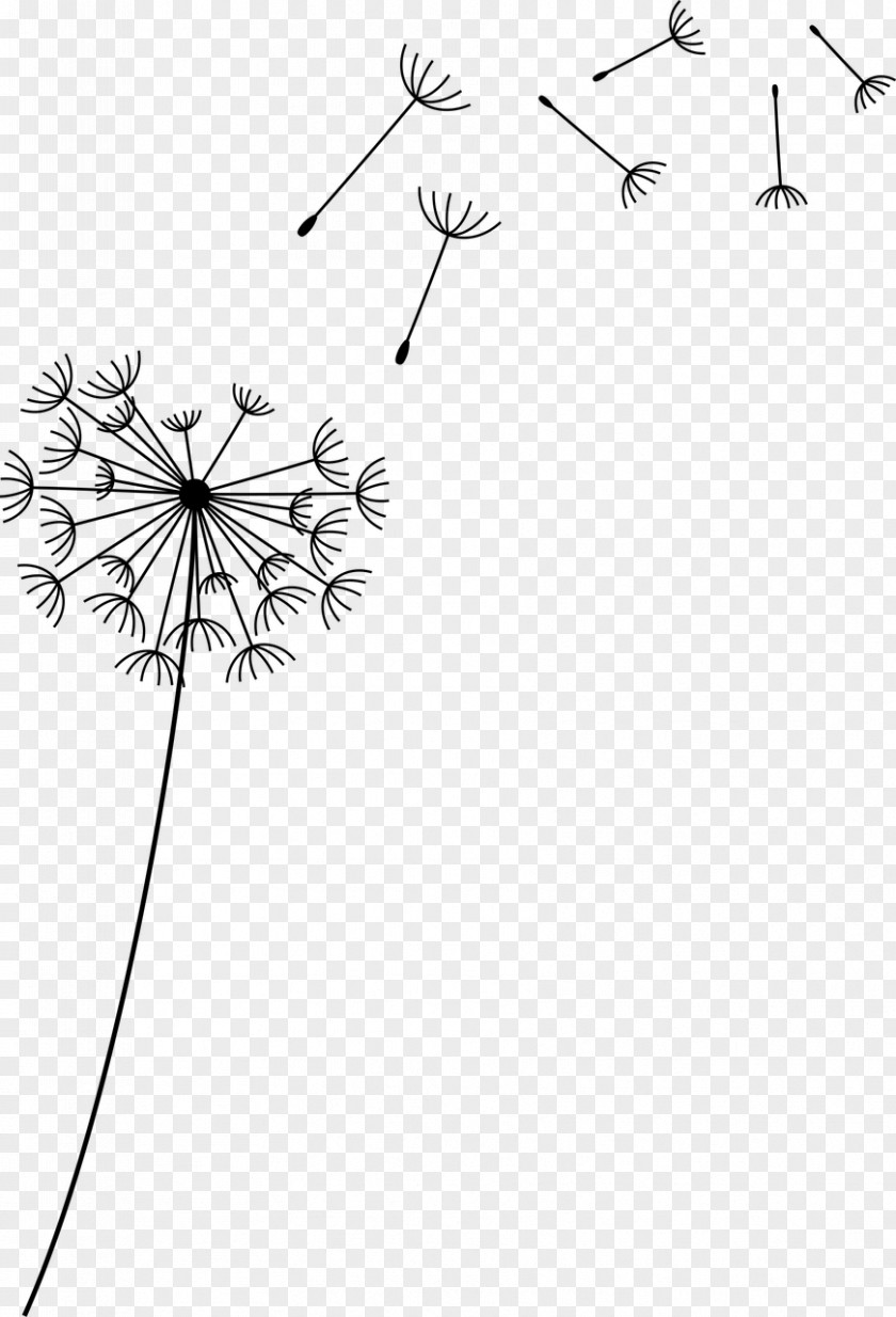 Flower Common Dandelion Clip Art PNG
