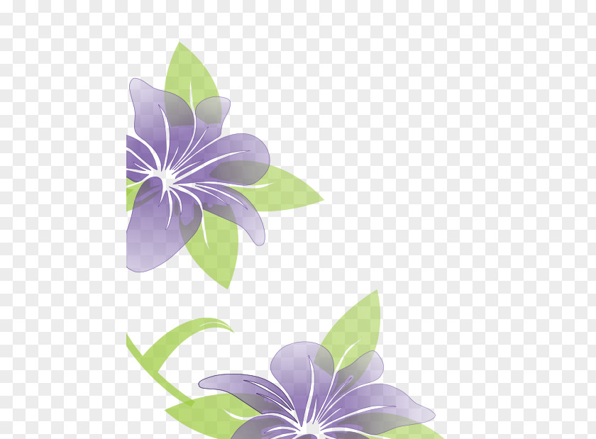 Funeral Flower Desktop Wallpaper Clip Art PNG