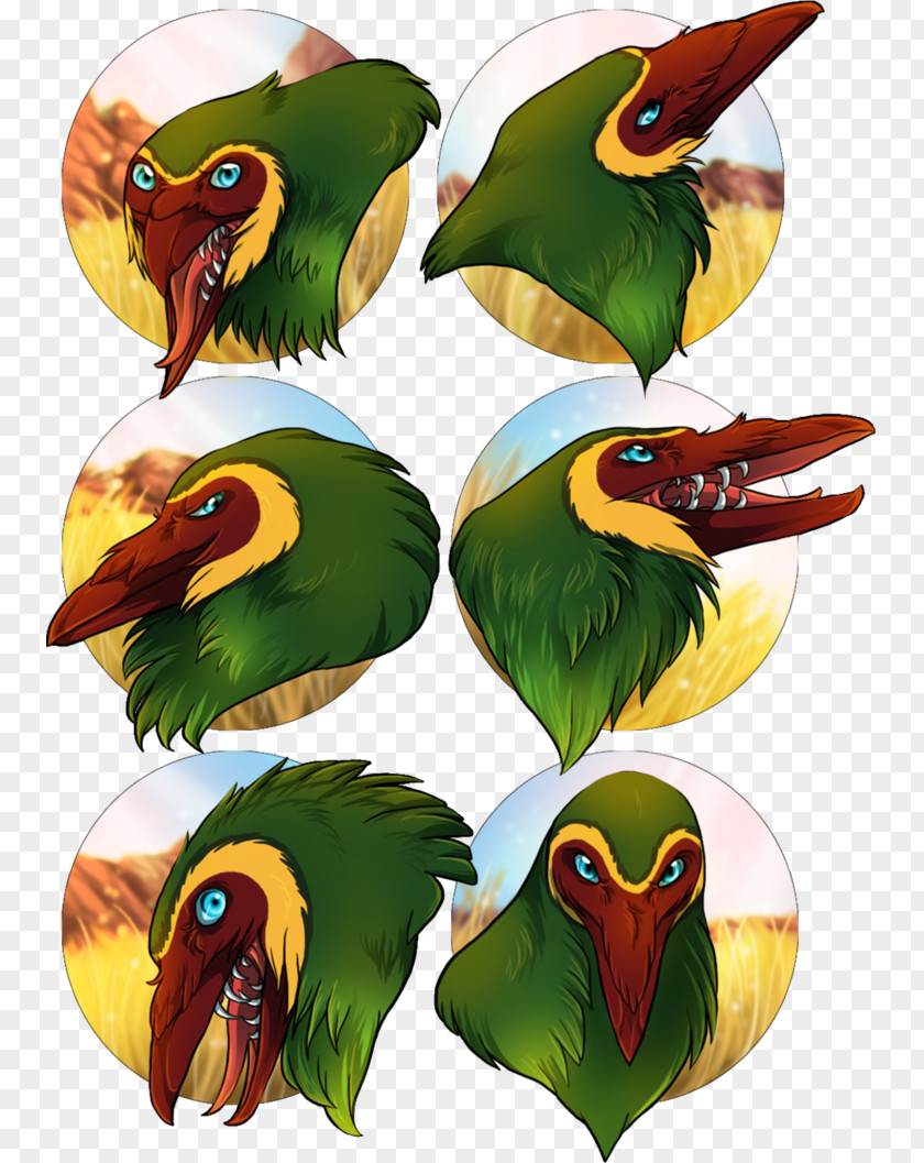 Heart Attack Bird Parrot Toucan Beak Piciformes PNG