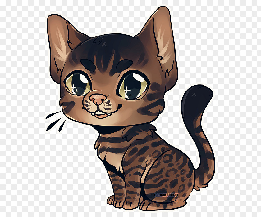 Kitten Whiskers Tabby Cat Domestic Short-haired PNG