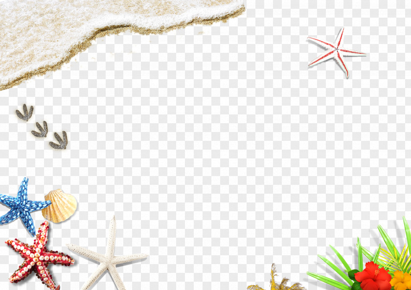 Starfish Beach Wallpaper PNG