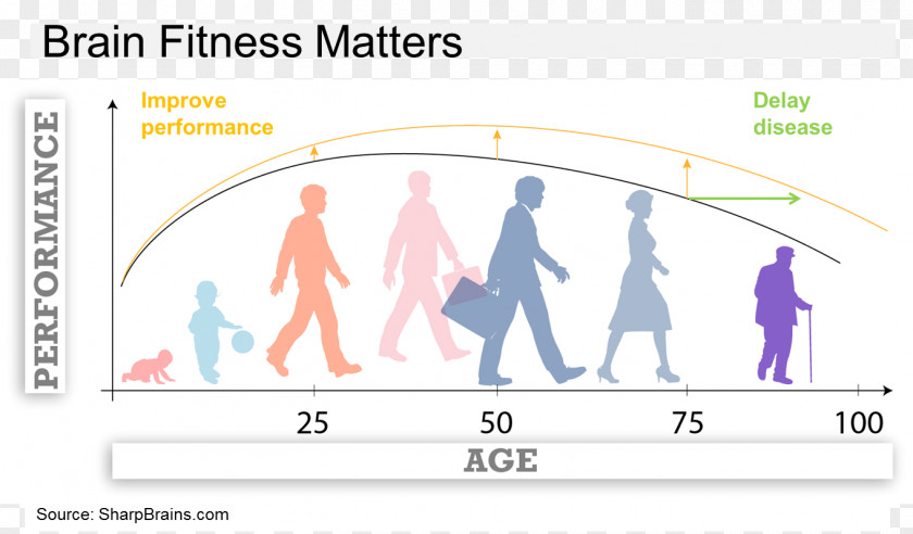 Brain Alzheimer's Disease Evolution Biology PNG