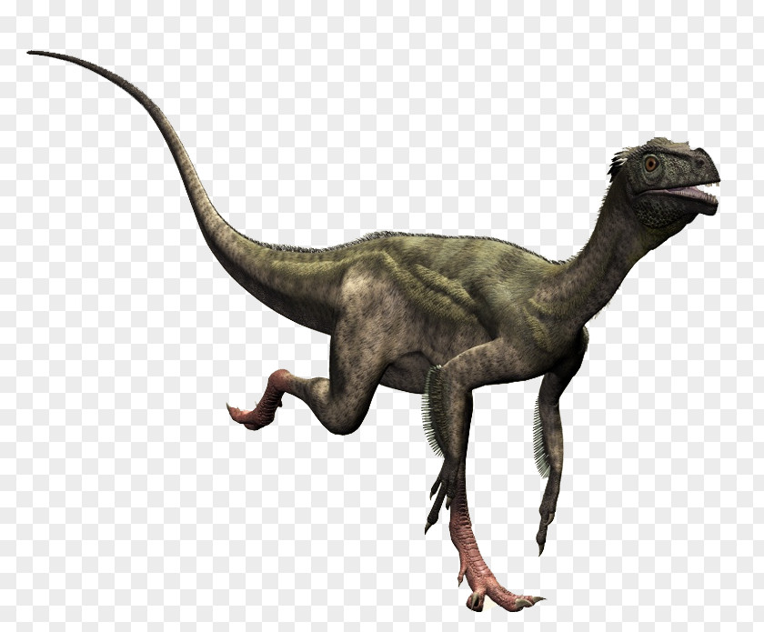 Dinosaur Ornitholestes Compsognathus Dilophosaurus Theropods PNG