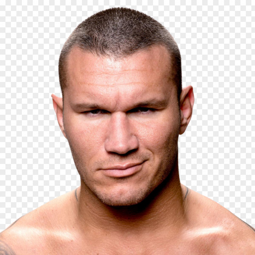 Randy Orton WWE SmackDown Championship Face Professional Wrestling PNG wrestling, randy orton clipart PNG
