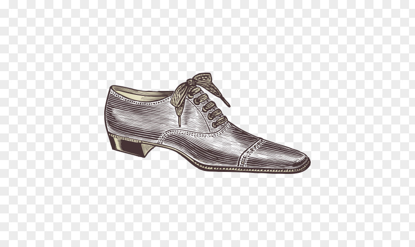 Artwork Shoes Shoe Illustration PNG