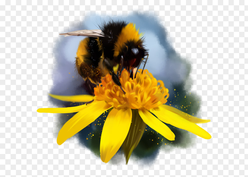 Bee Bumblebee Honey Nectar Drawing PNG