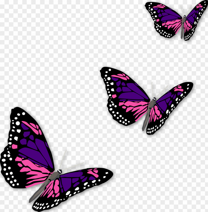 Butterfly Monarch PNG