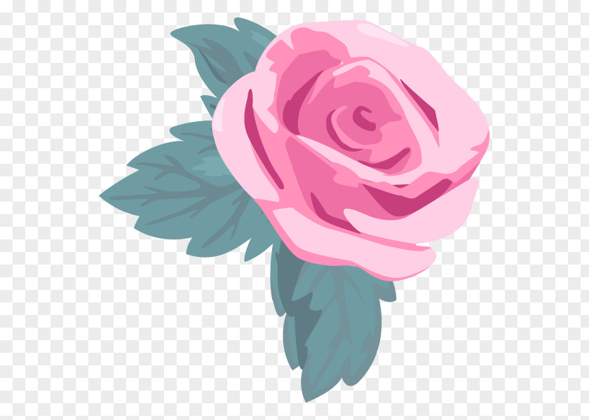 Garden Roses Illustration Cabbage Rose Flower Clip Art PNG