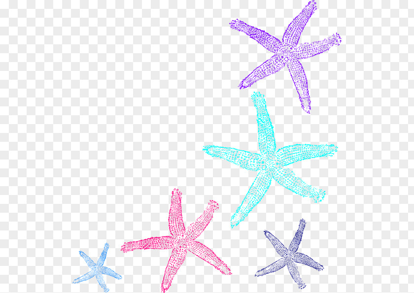 Starfish Royalty-free Clip Art PNG