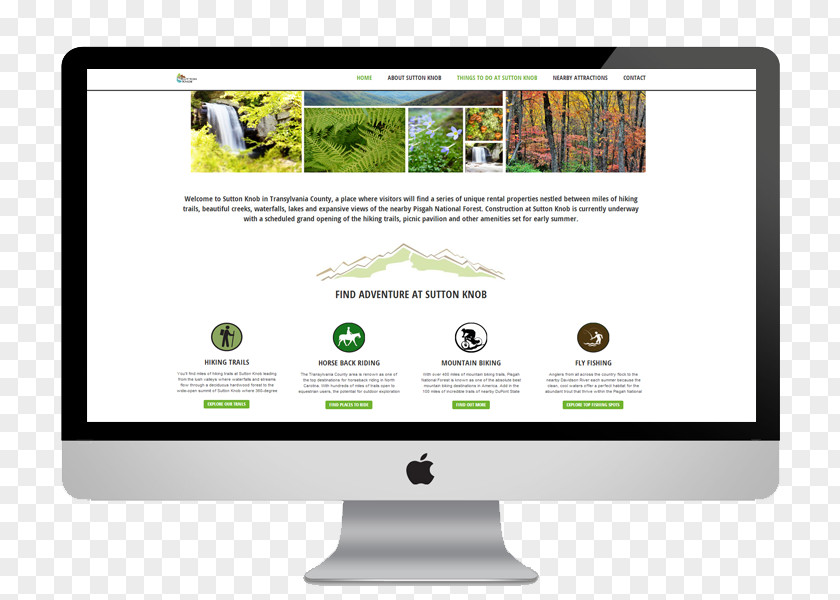 Web Design Website Development Page World Wide Hosting Service PNG
