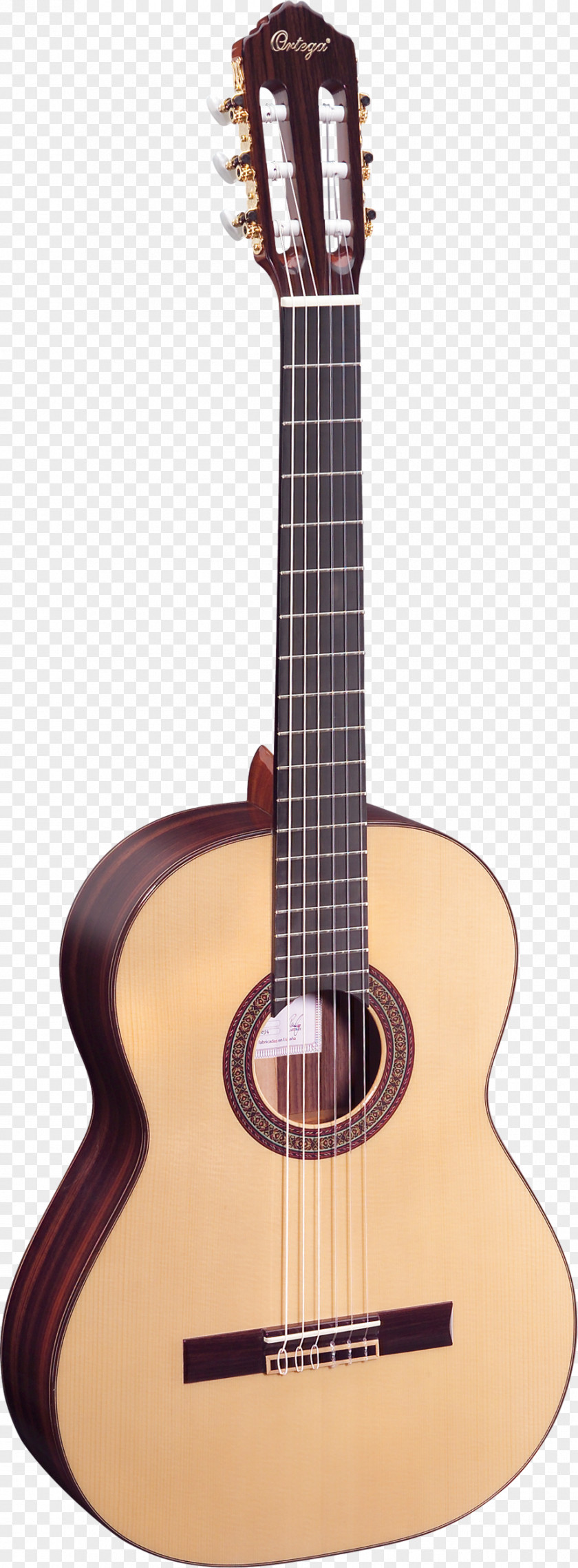 Amancio Ortega Twelve-string Guitar Steel-string Acoustic Parlor PNG