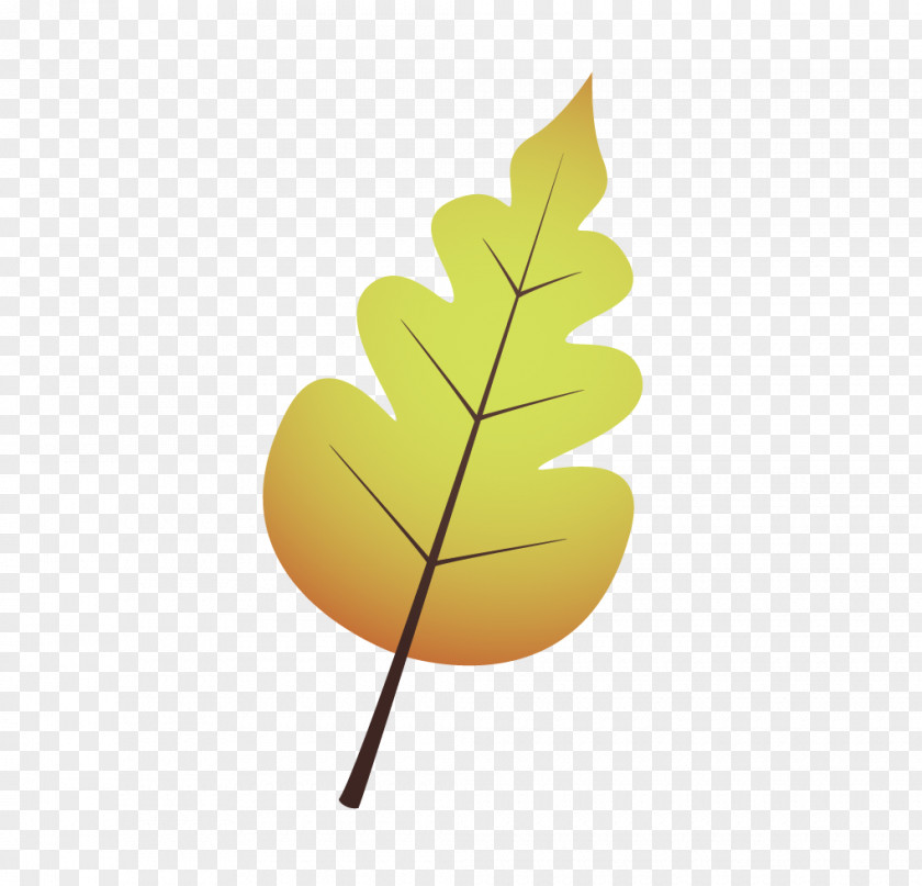 Autumn Leaves Leaf PNG