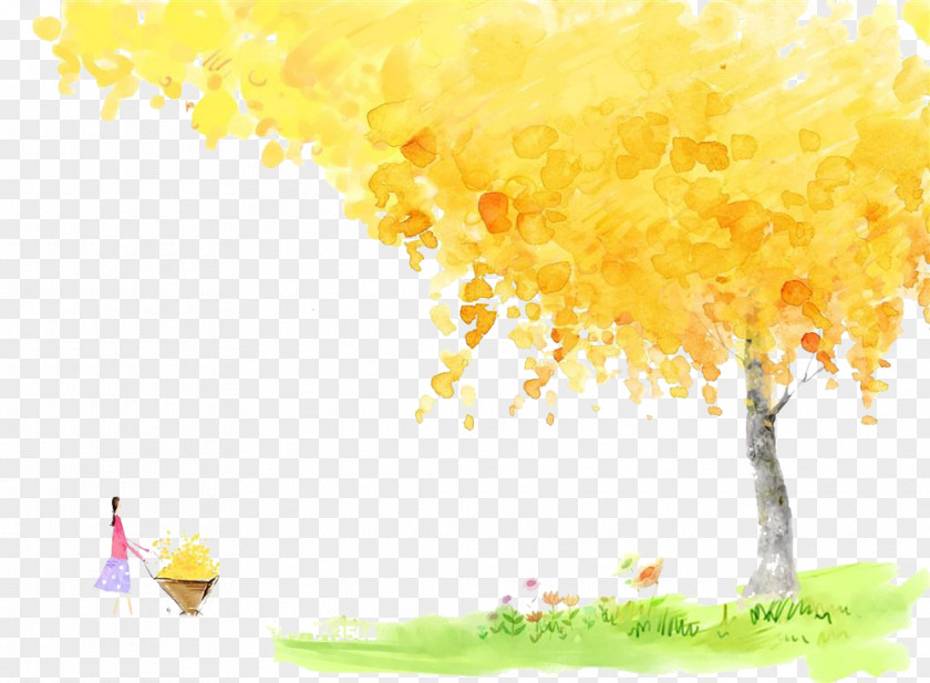 Autumn Maple Picture Material Leaf Illustration PNG