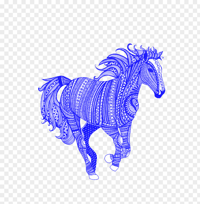 Blue Horse Appaloosa American Paint Howrse Stallion Colt PNG