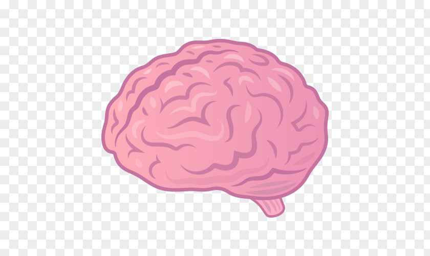 Brain You May Also Like: Taste In An Age Of Endless Choice Emoji Blog WordPress PNG