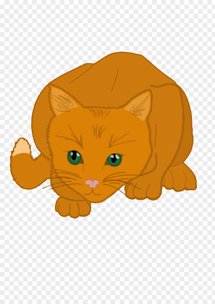 Cat Kitten Whiskers Mammal Carnivora PNG