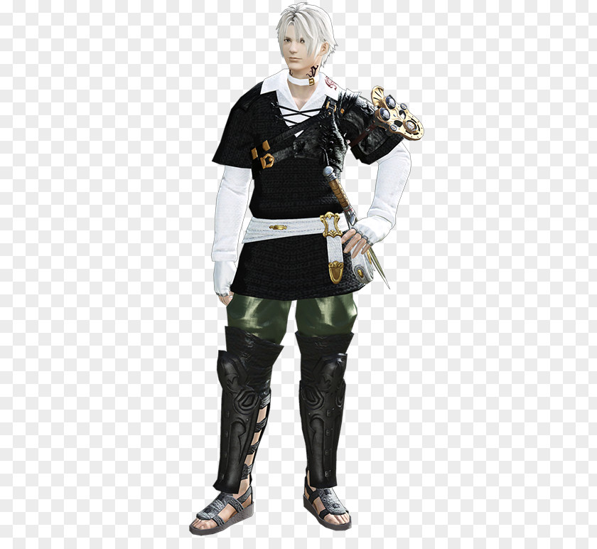 Fantasy World Final XIV: Stormblood Record Keeper XIII Video Game PNG