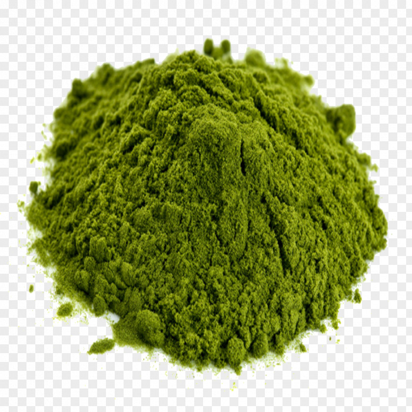 Green Algae Rijk Zwaan Lettuce Mitragyna Speciosa PNG