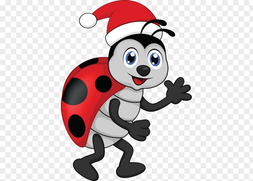 Hat Insect Cartoon Ladybird Clip Art PNG