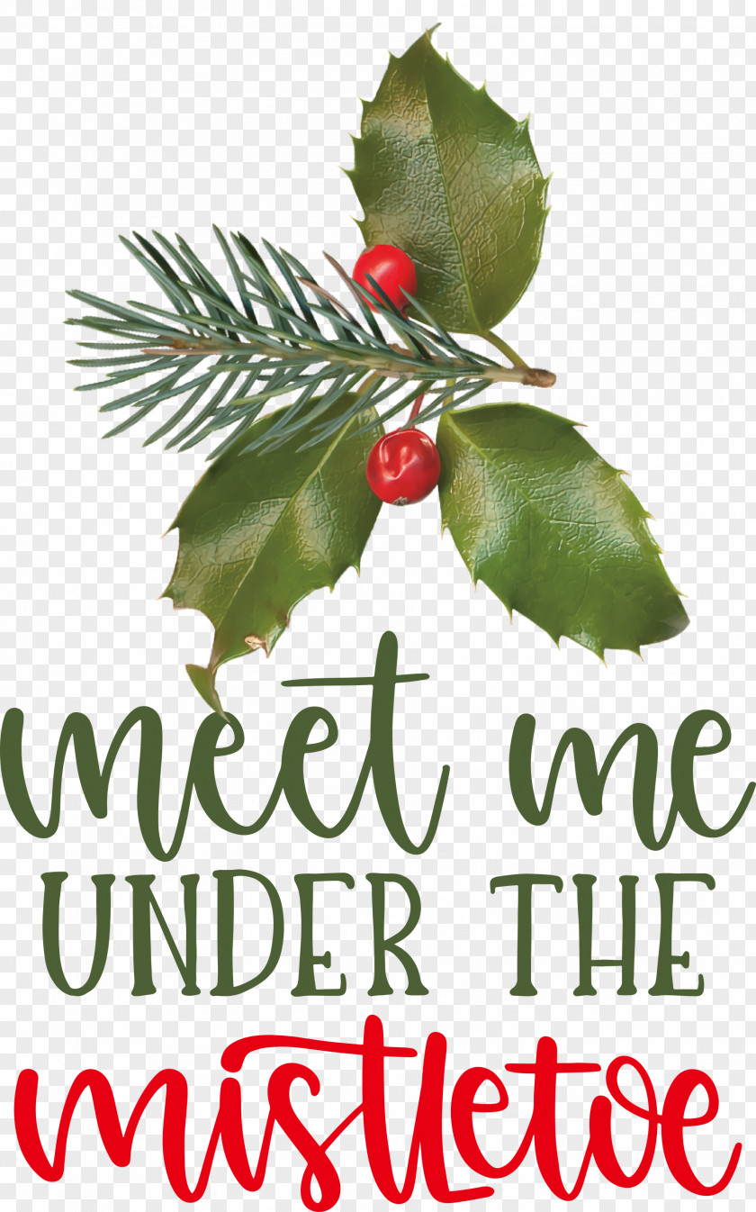 Meet Me Under The Mistletoe PNG