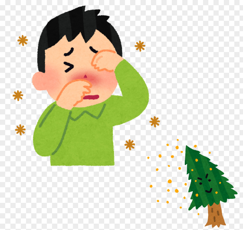 Allergy Allergic Rhinitis Due To Pollen Hay Fever Sneeze PNG