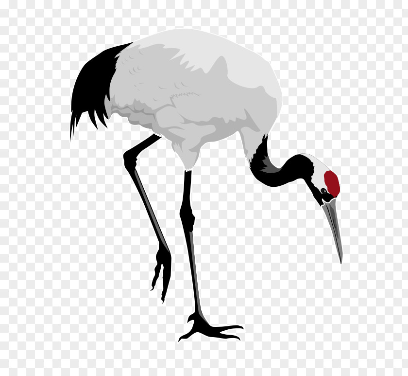 Free Stork Clipart Red-crowned Crane Bird Heron Clip Art PNG
