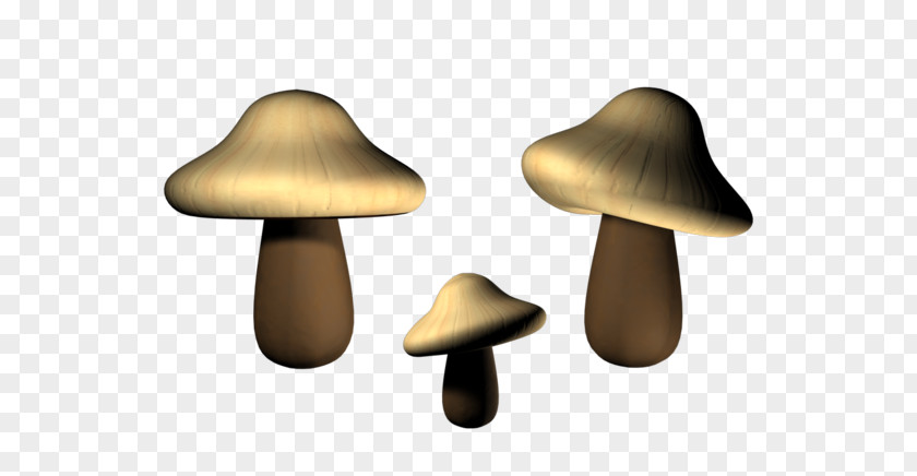 Fungi Mushrooms Fungus Mushroom Cloud PNG