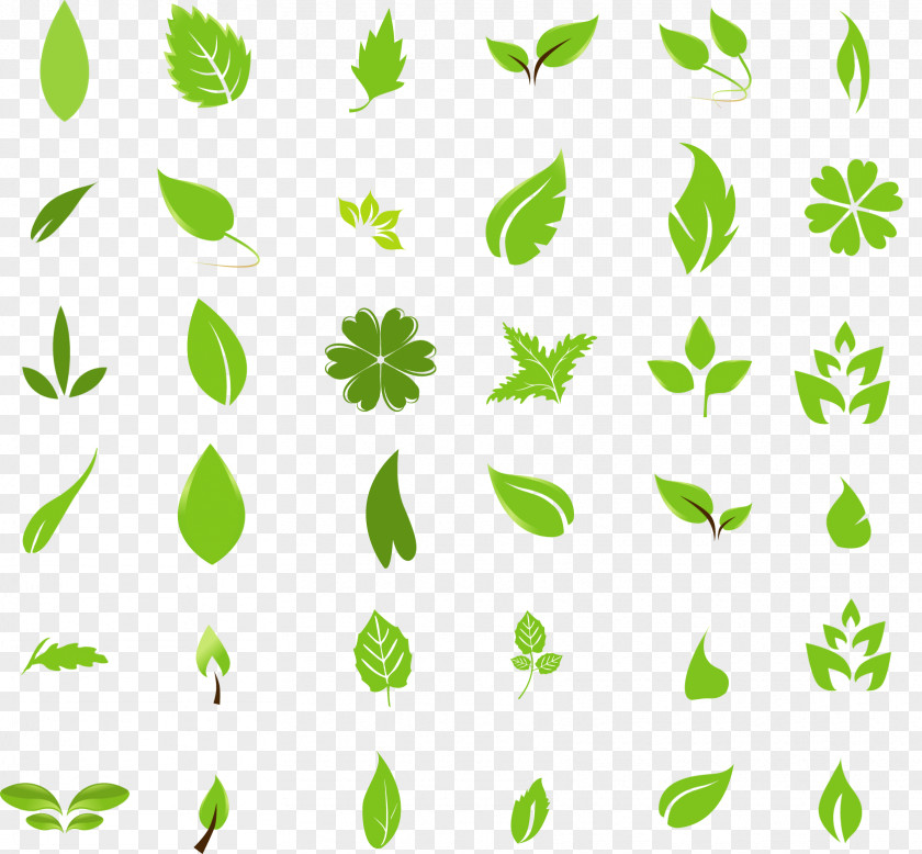 Tea Watercolor Leaf Clip Art PNG