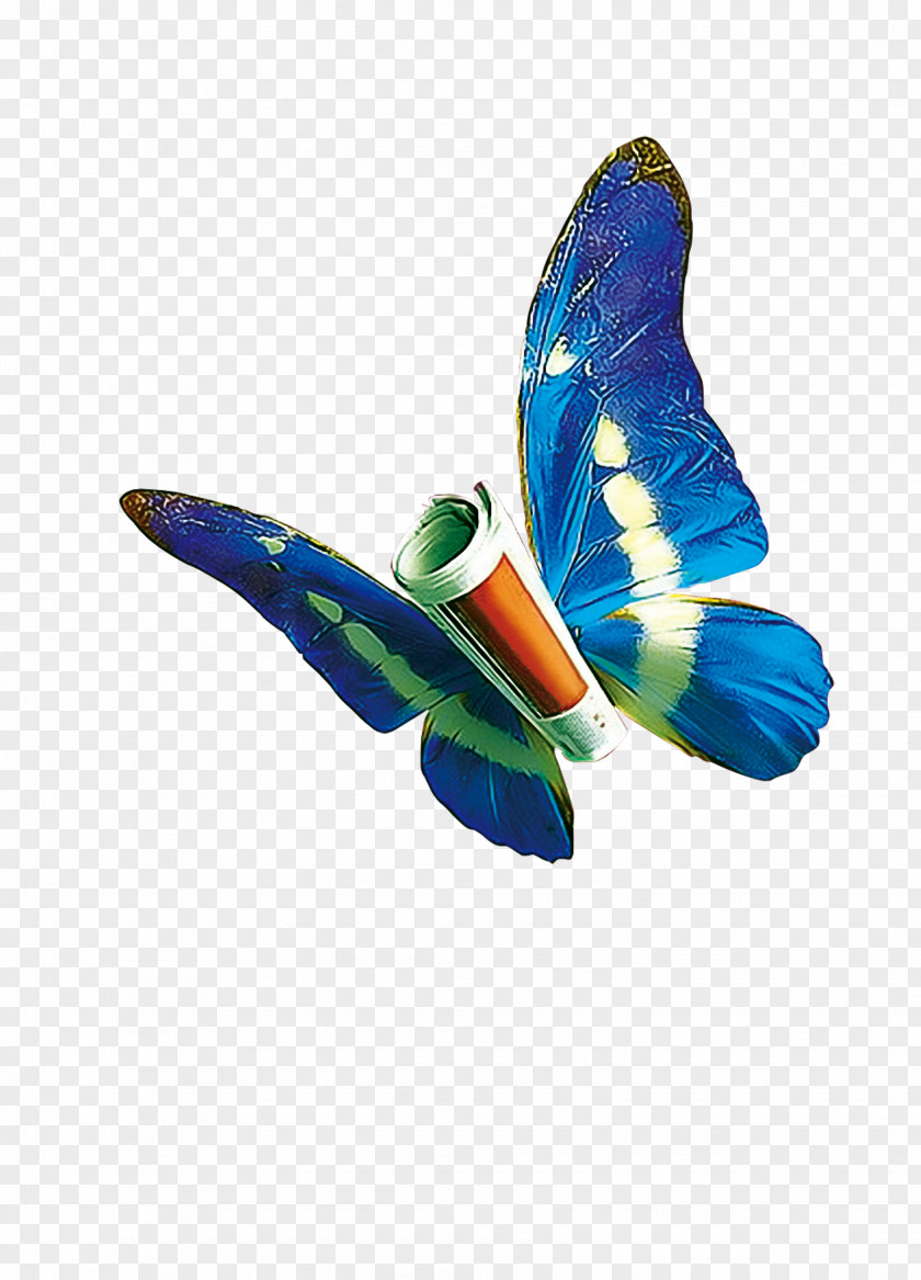 Butterfly PNG