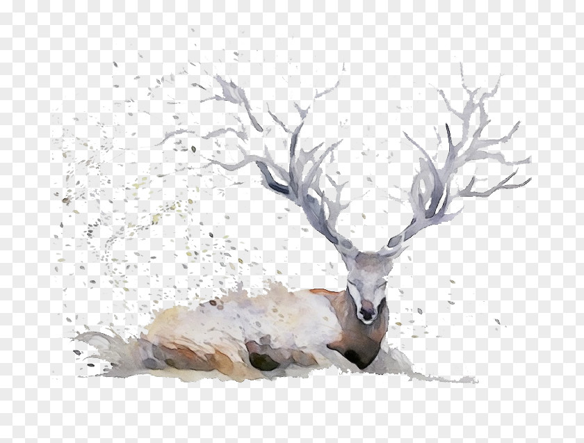 Fawn Roe Deer Ink Abstract Background PNG