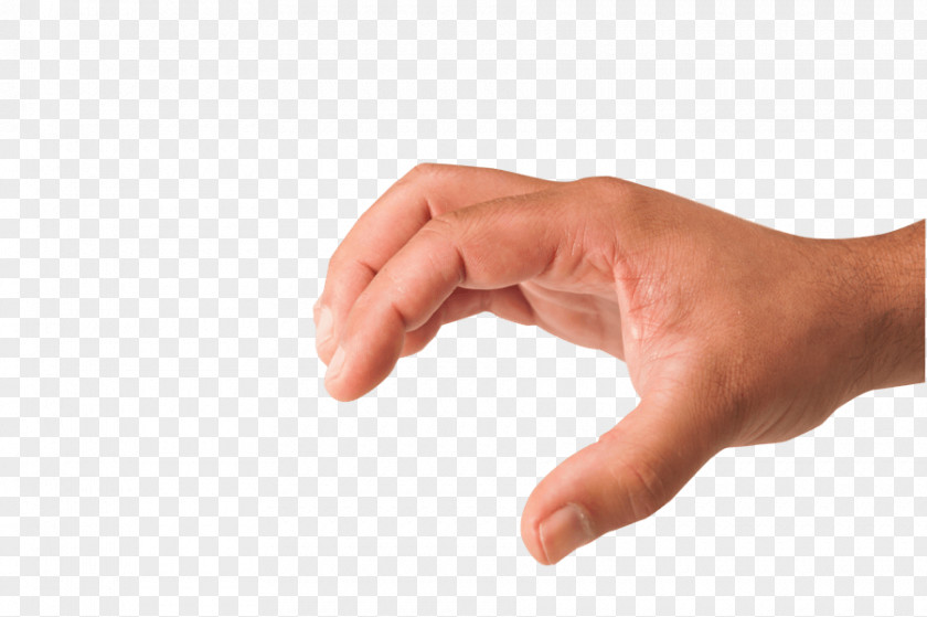 Hands Hand Image Clip Art PNG