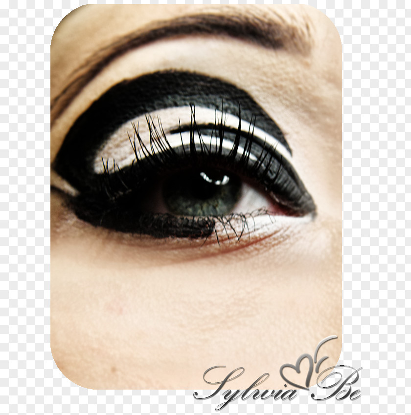 Make Up And Nails Eyelash Extensions Eye Liner Shadow Lip PNG