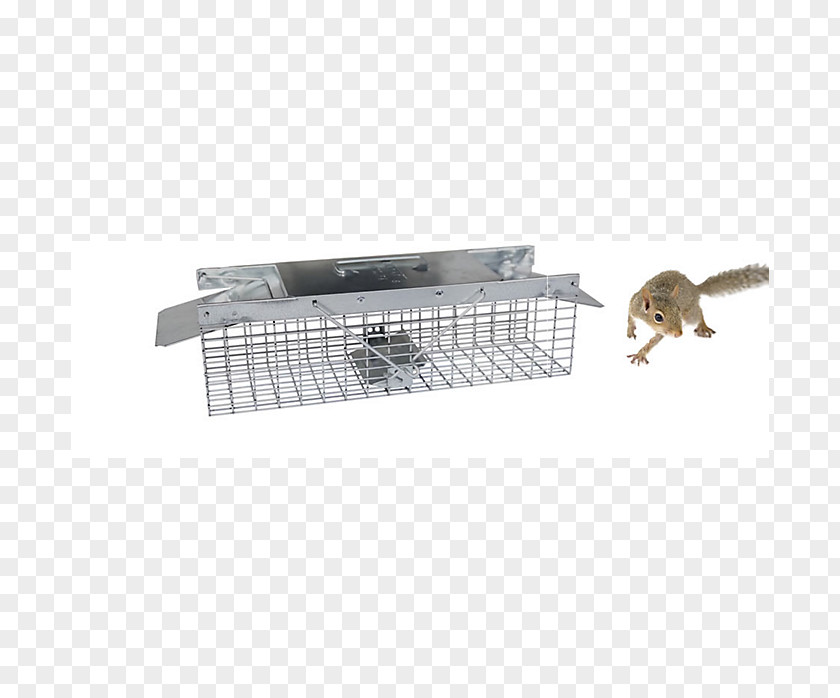 Mouse Trap Rat Rodent Squirrel Least Weasel PNG