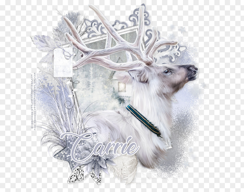 Reindeer /m/02csf Antler Drawing Illustration PNG