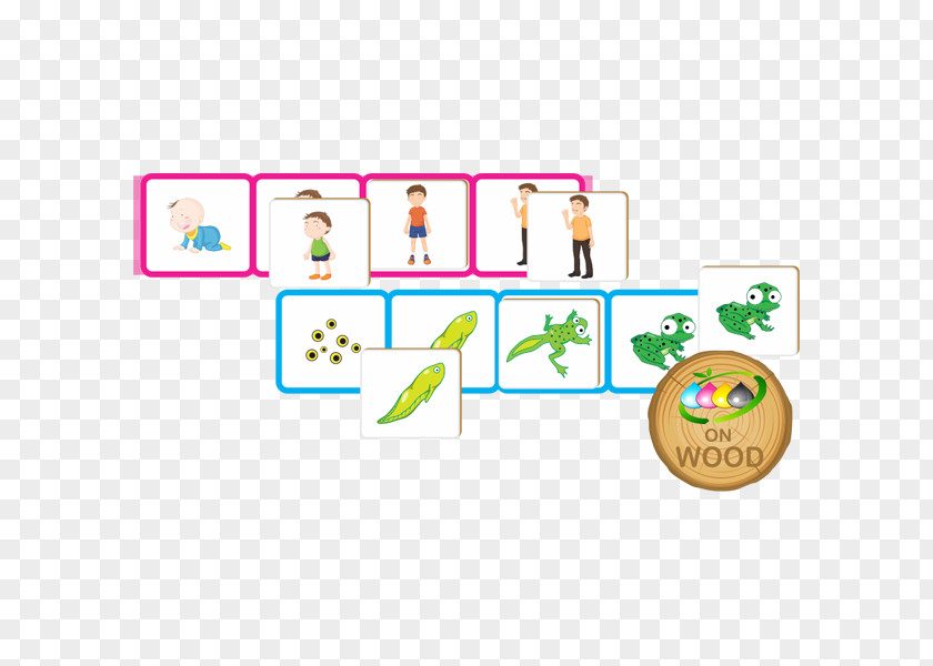 Toys Kids Game Biological Life Cycle Learning Butterfly PNG