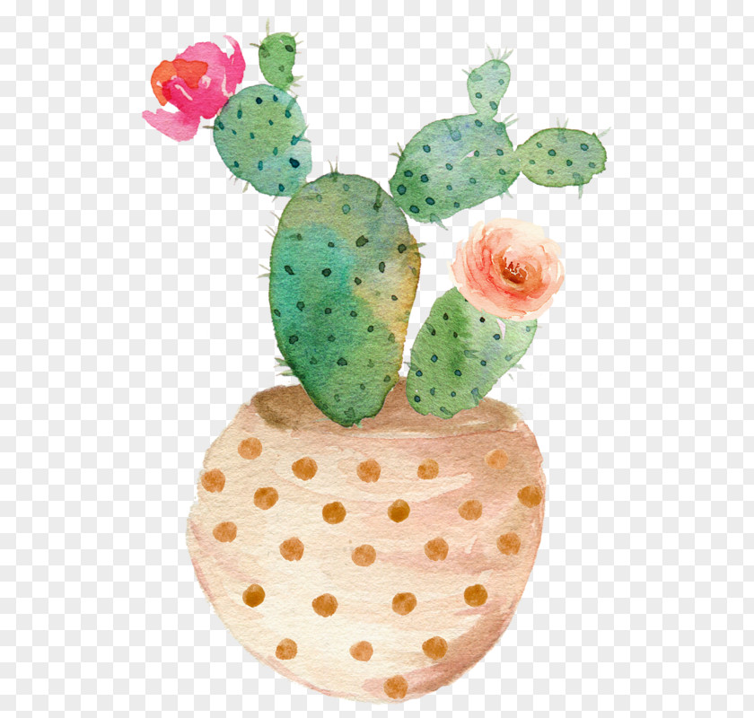 Watercolor Cactus Painting Succulent Plant Cactaceae Canvas PNG