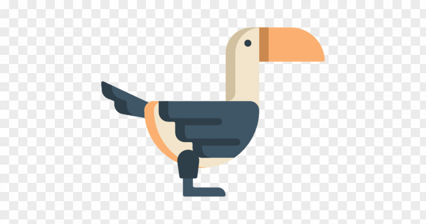 Wing Duck Bird PNG