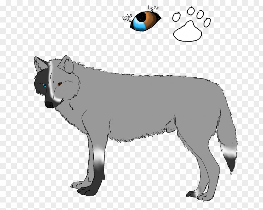 Cat Dog Red Fox Fur Line Art PNG