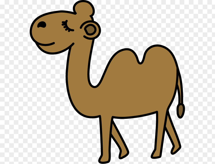 Cute Camel Dromedary Alpaca Wildlife Clip Art PNG