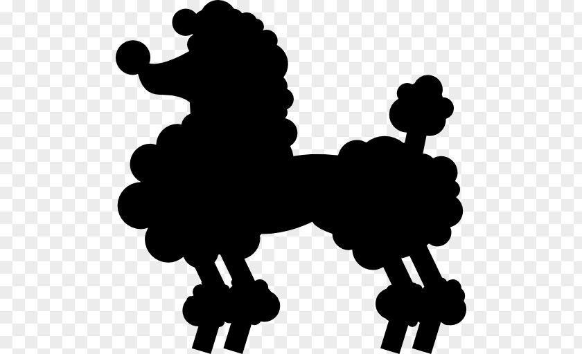 Cute Dog Standard Poodle Silhouette PNG