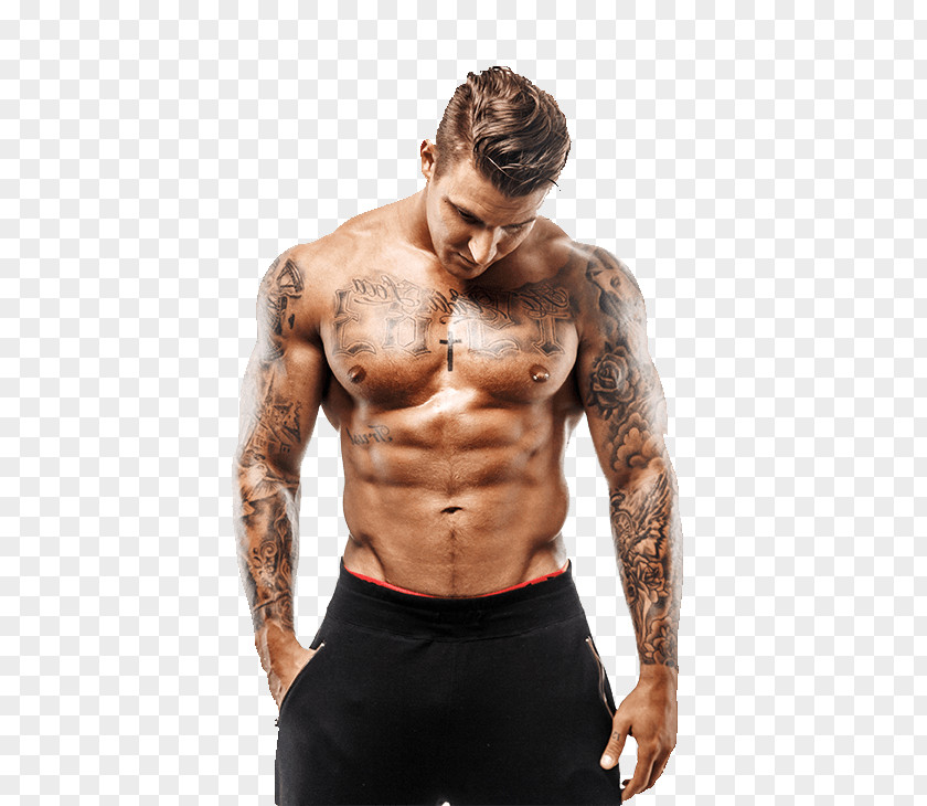 Muscle Explosion: 28 Days To Maximum Mass Stock Photography Royalty-free Male PNG