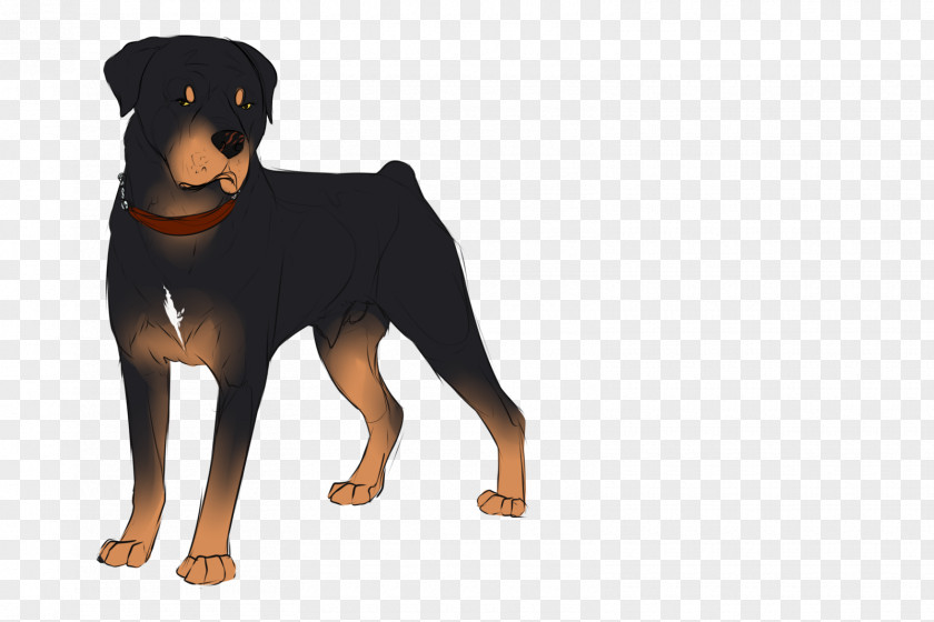 Puppy Dobermann Rottweiler Dog Breed German Pinscher PNG
