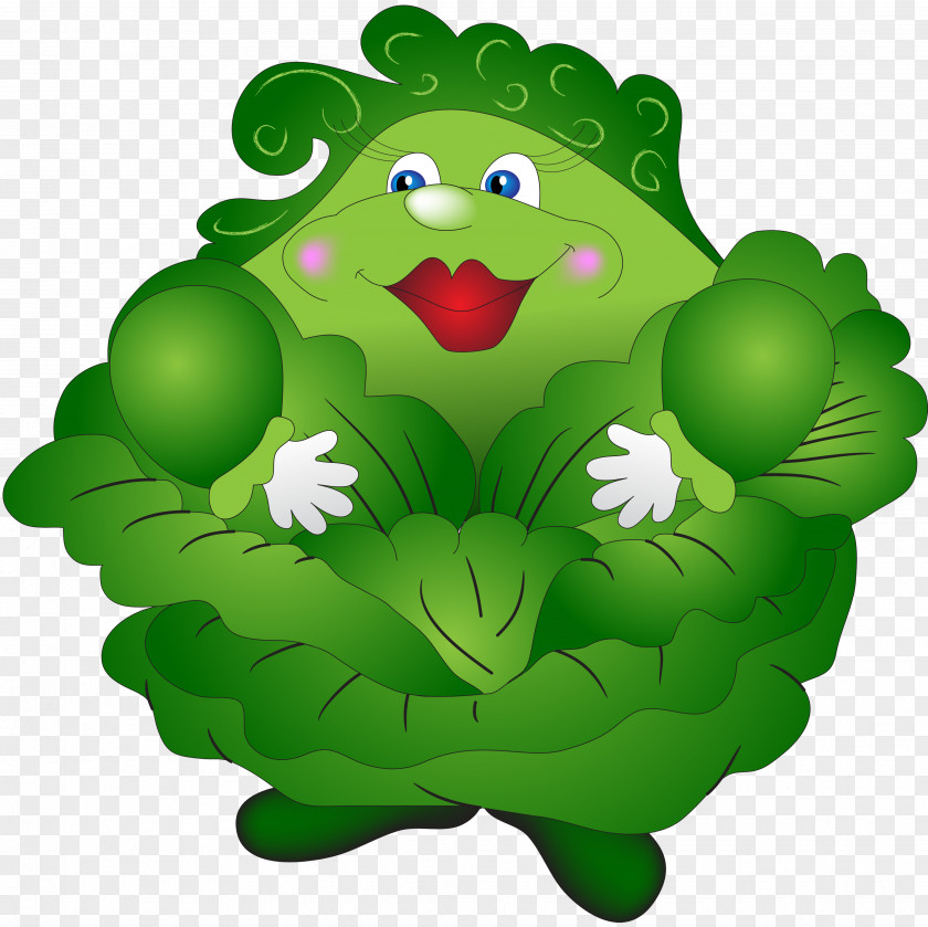 Cabbage Red Kapusta Kiszona Duszona Vegetable Clip Art PNG