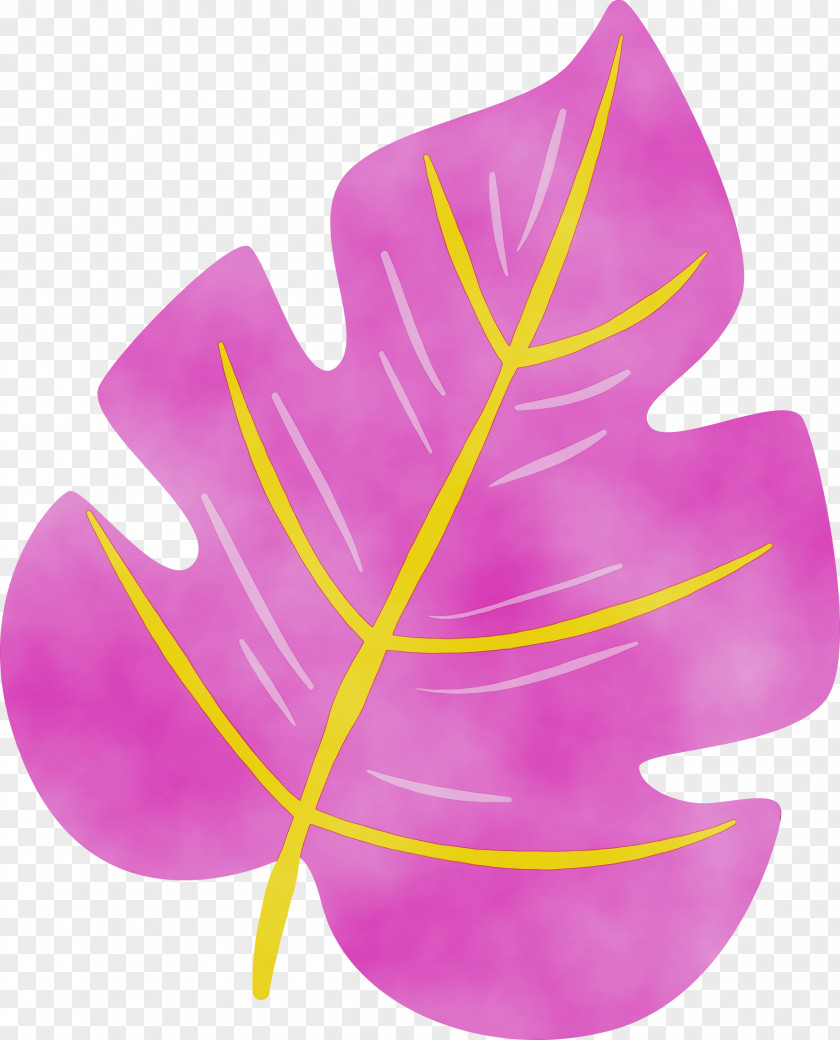 Herbaceous Plant Magenta Summer Watercolor PNG