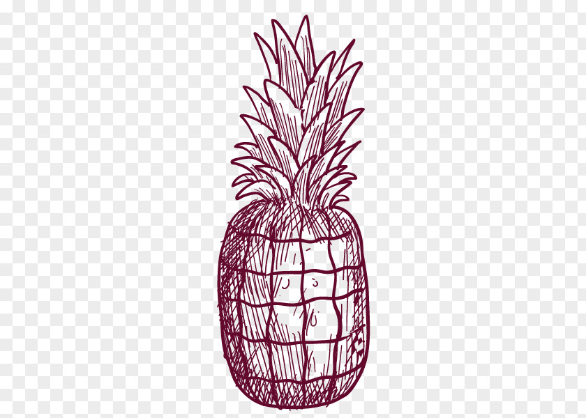 Pineapple Drawing PNG