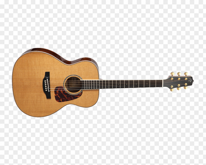 Acoustic Guitar Acoustic-electric Steel-string Takamine Guitars Dreadnought PNG